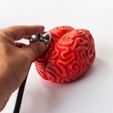 Diagnosis of intellect